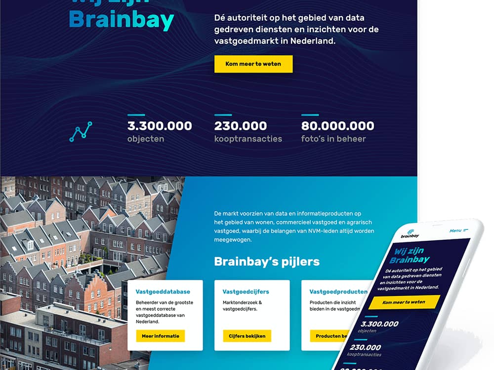Brainbay website